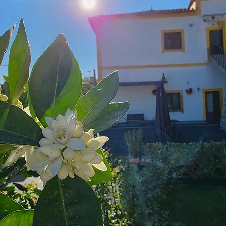 Casa Da Ponte بيت للعطل *